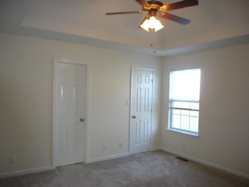 Master Bedroom w/ Walking Closet and Master bath