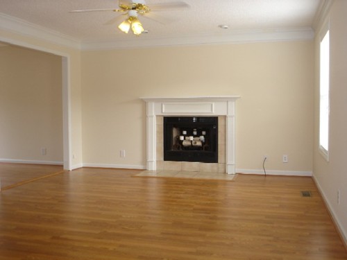 Livingroom with fireplace