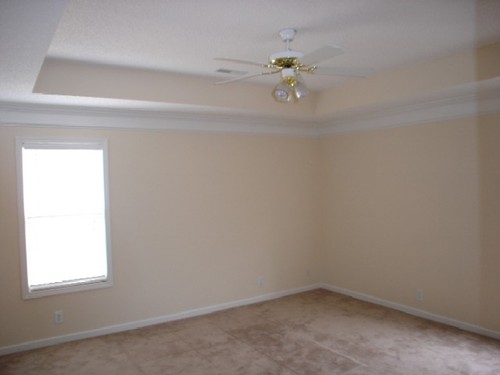 Kitchen Tray Ceiling