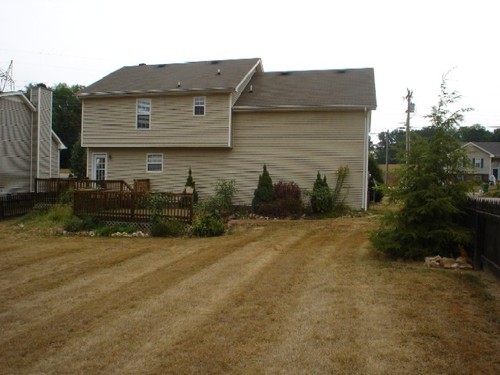 View of the rear back by the fence looking towards the house. Note the double deck perfect for entertaining,